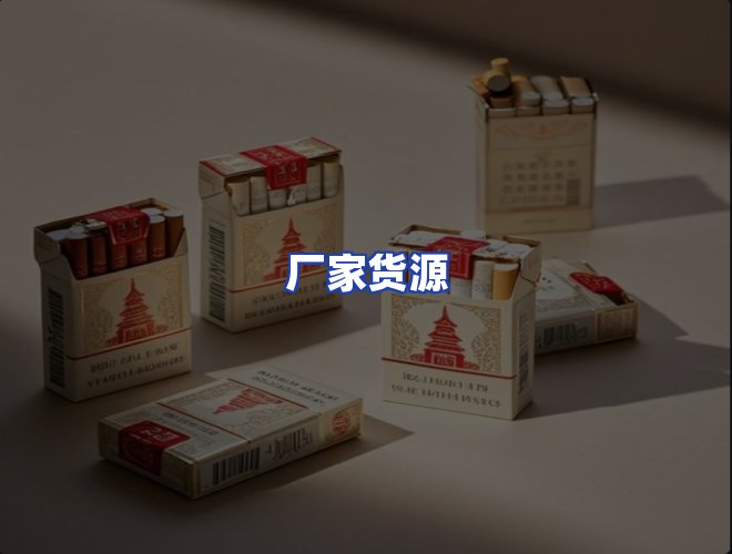 专业团队